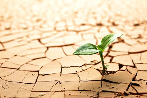 برنامه‌ریزی توسعه فردی